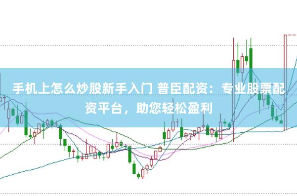 手机上怎么炒股新手入门 普臣配资：专业股票配资平台，助您轻松盈利