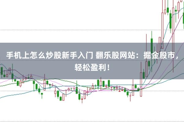 手机上怎么炒股新手入门 翻乐股网站：掘金股市，轻松盈利！