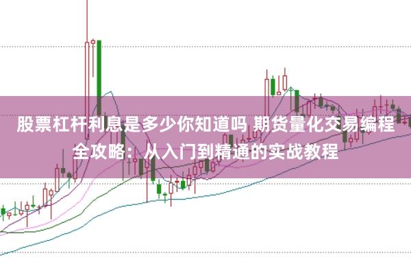 股票杠杆利息是多少你知道吗 期货量化交易编程全攻略：从入门到精通的实战教程