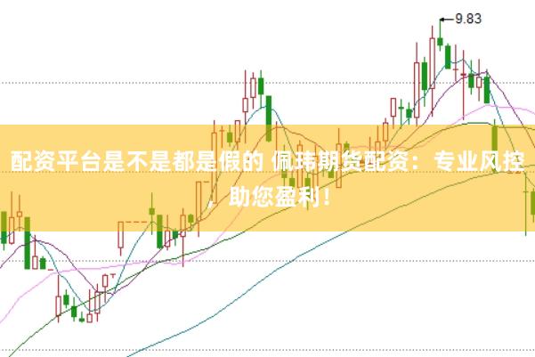 配资平台是不是都是假的 佩玮期货配资：专业风控，助您盈利！