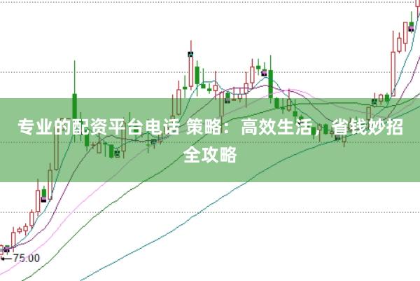 专业的配资平台电话 策略：高效生活，省钱妙招全攻略