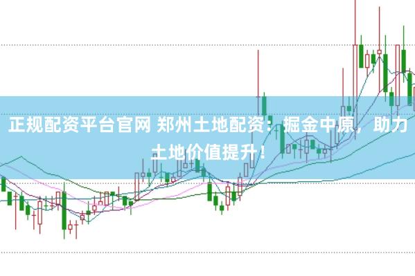 正规配资平台官网 郑州土地配资：掘金中原，助力土地价值提升！