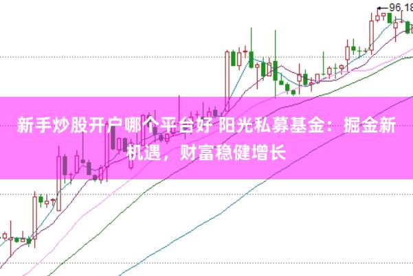 新手炒股开户哪个平台好 阳光私募基金：掘金新机遇，财富稳健增长