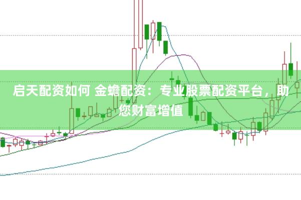 启天配资如何 金蟾配资：专业股票配资平台，助您财富增值