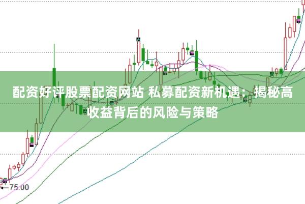 配资好评股票配资网站 私募配资新机遇：揭秘高收益背后的风险与策略