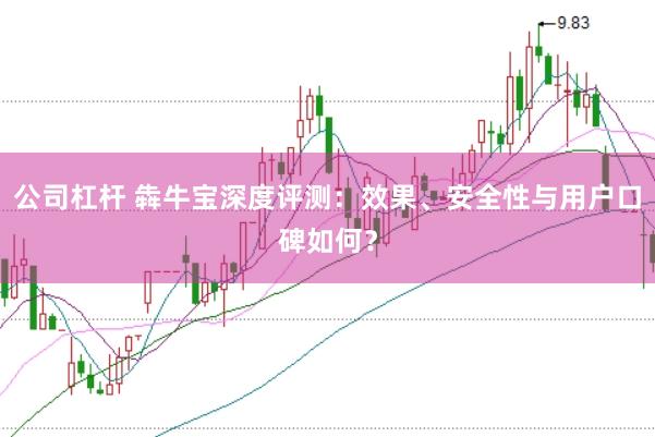 公司杠杆 犇牛宝深度评测：效果、安全性与用户口碑如何？