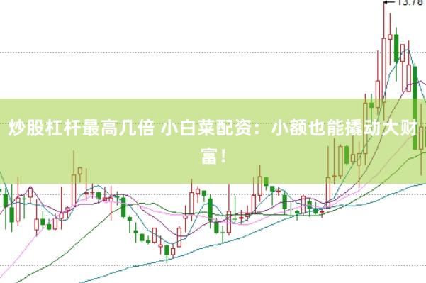 炒股杠杆最高几倍 小白菜配资：小额也能撬动大财富！