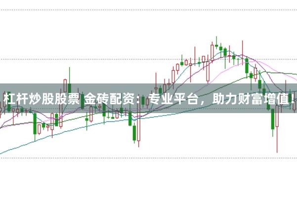 杠杆炒股股票 金砖配资：专业平台，助力财富增值！