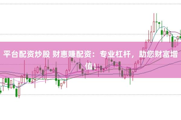 平台配资炒股 财恵赚配资:专业杠杆,助您财富增值!